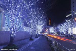 城市及道路照明